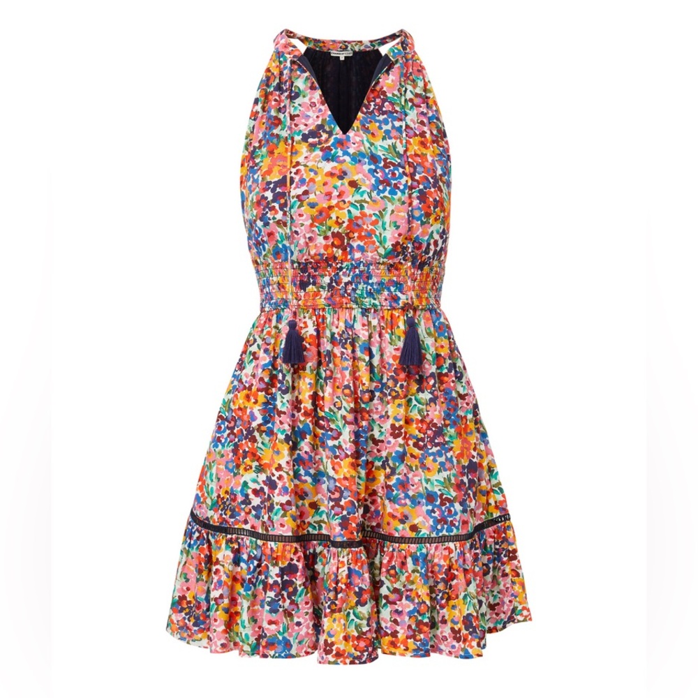 change of Scenery Emma Dress In Painted Petals